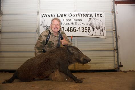 HOG BLOG | Texas Hog Hunting