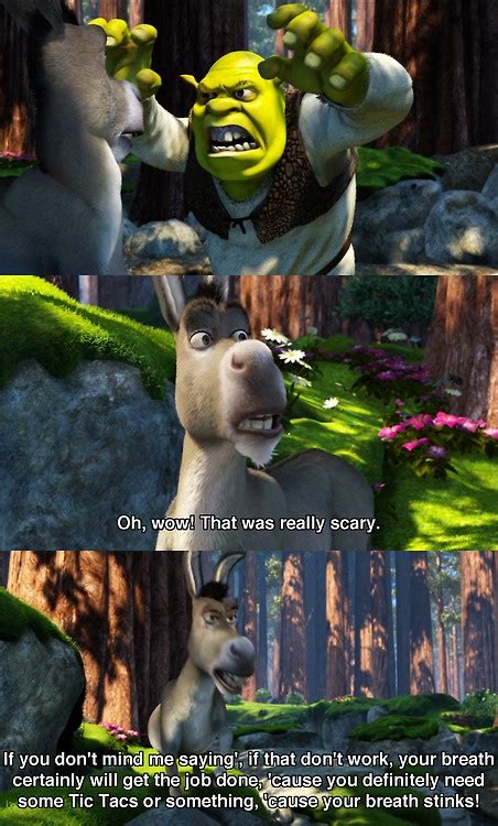 Donkey From Shrek Quotes. QuotesGram