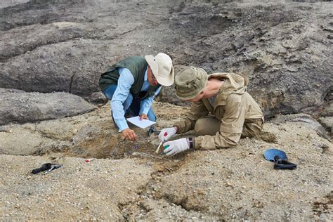 What Paleontology Is and How to Become a Paleontologist | Best Graduate ...