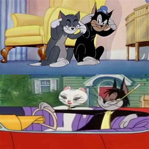 Tom And Jerry Butch Cat