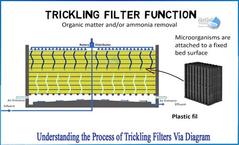 What is trickling filters explain - Netsol Water