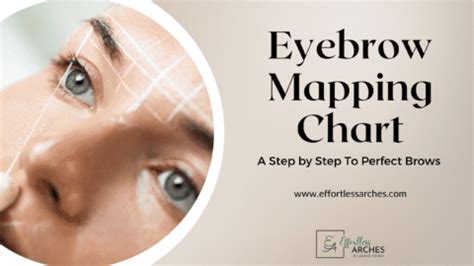 Eyebrow Mapping Chart: A Step By Step Guide To Perfect Brows