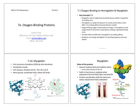 7.1$Oxygen$Binding$to$Hemoglobin$&$Myoglobin$ • Key$Concepts$7.1$