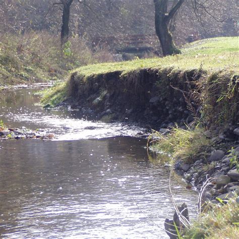 Significant erosion of the river bank. Foto M.Šlezingr 2009. | Download ...