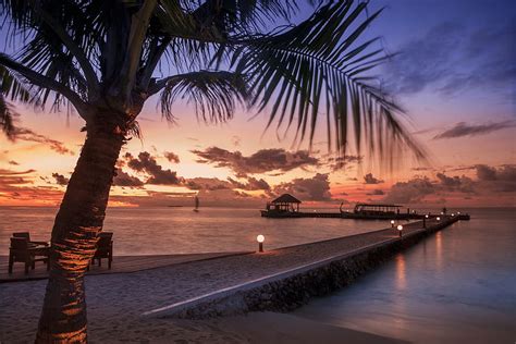 Maldives Beach Trees at Sunset Wall Mural, peaceful country evening HD ...