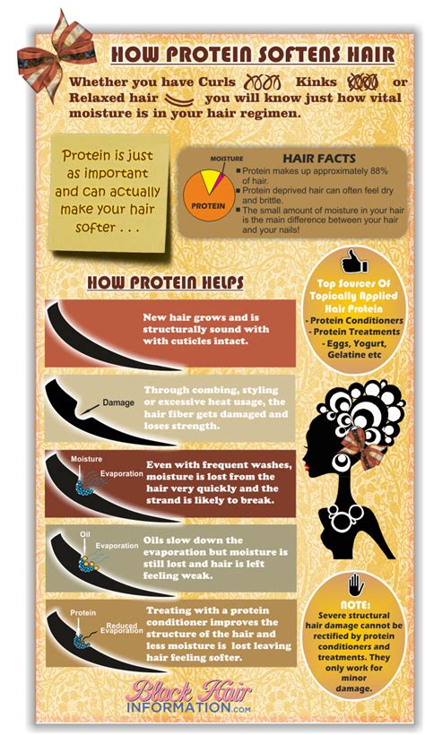 How Protein Softens Hair Infographic