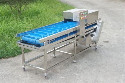 Fish cutting machine is a convenient machine - Shenghui food machine