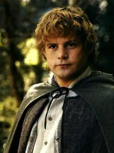 How To Dress Like Samwise Gamgee Costume Guide: Recreating The Heroic ...