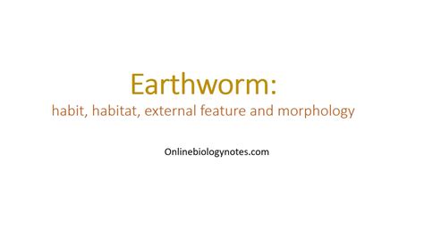 Earthworm: habit, habitat, external feature and morphology - Online ...