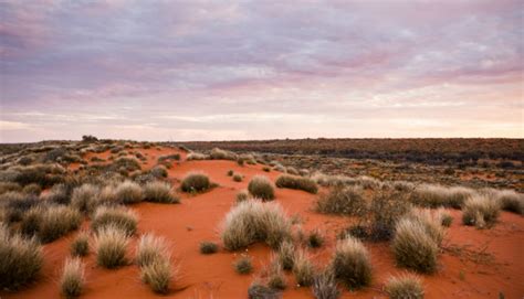 Poeppel Corner, Simpson Desert National Park, Qld