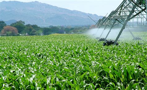 Namibia: Agricultural Sector Declines By 2.8 Percent in Q1 - allAfrica.com