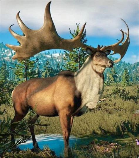 The extinct Irish elk (Megaloceros giganteus) ranged across Eurasia ...