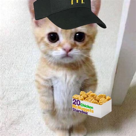 matching mcdonalds cat pfp | matching pfps | Matching cat pfp friends ...