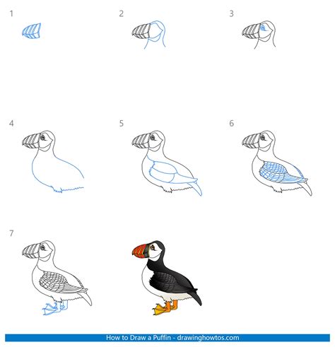 How to Draw a Puffin - Step by Step Easy Drawing Guides - Drawing Howtos