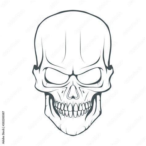 Skull illustration. Evil skull on white background. Vector graphics to ...