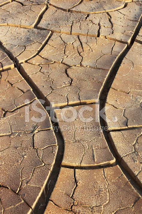 Cracked Earth In Desert Background Stock Photo | Royalty-Free | FreeImages