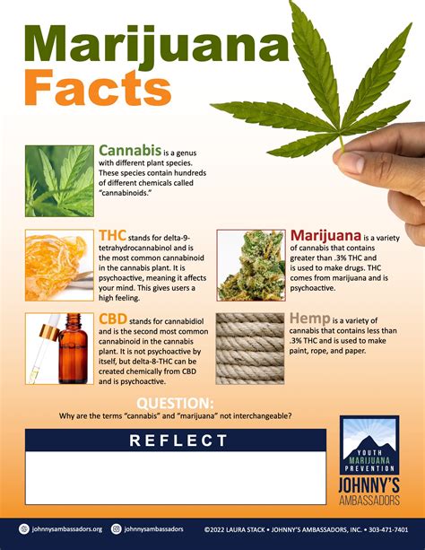 Marijuana Printable Sheets • Johnny's Ambassadors