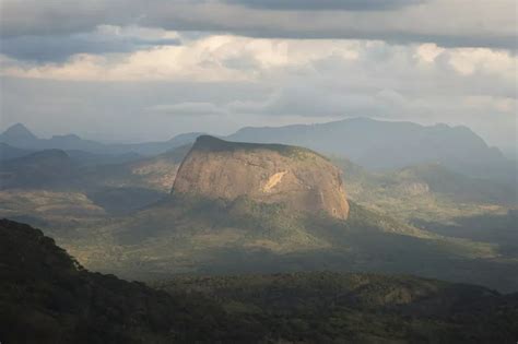 Scientist spots something otherworldly on 3,600 ft. mount lico while ...