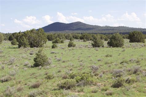 10.88 BEAUTIFUL ACRES IN CIBOLA NM-NO RESTRICTIONS!! – The Land Post