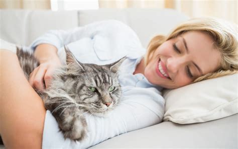 Cuddling Cats: Are Certain Breeds Better? - Ultimate Pet Nutrition