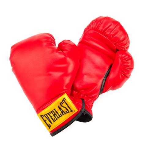 Everlast® Youth PVC Boxing Gloves | Academy