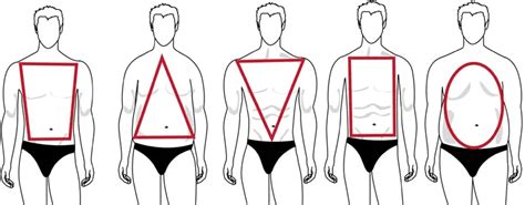 Men's Body Shape Guide (Fat, Skinny, Muscular) - Dress Your Body Type