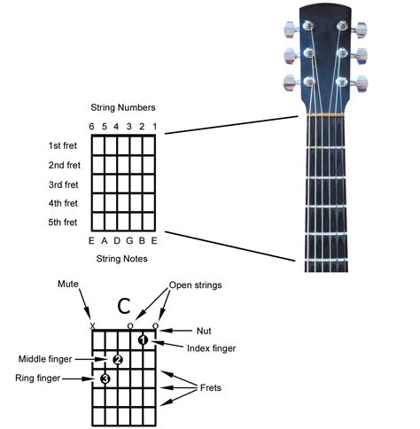 How to Read a Chord Diagram and Other Chord Notation