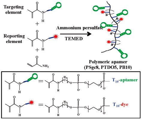 IJMS | Free Full-Text | Progress and Challenges in Developing Aptamer ...