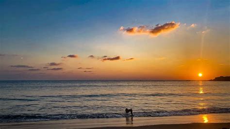 South Goa: 6 Tips for Sunsets, Yoga and Beaches