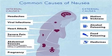 Nausea - Assignment Point