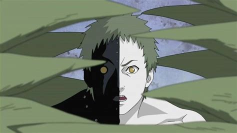 Naruto: Black Zetsu có phải là dạng vật lý cho Karma của Kaguya hay không?