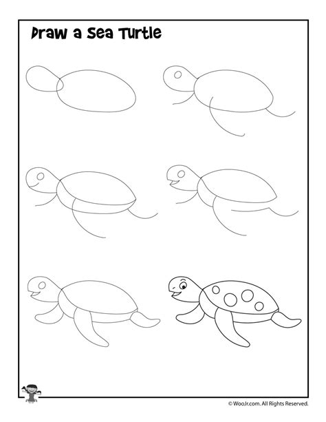 How to Draw a Sea Turtle | Woo! Jr. Kids Activities