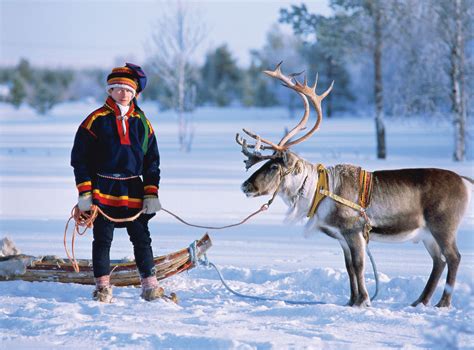 Saami and reindeer, Lapland | Lapland, Lapland finland, Reindeer