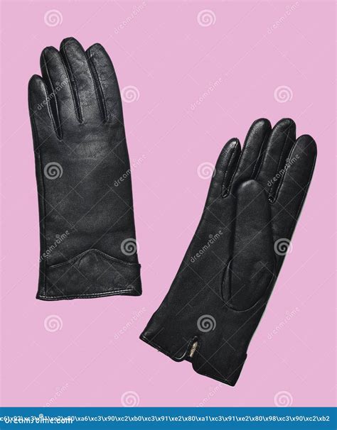 Leather Female Gloves Isolated on Pink Background. Minimalism ...