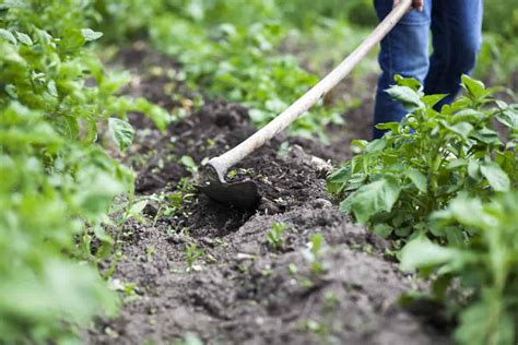 Domestic Gardening Hoe Digging Weeding Tool Farm Hoeing Small red おトク