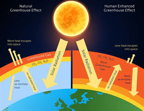 [DIAGRAM] Ddt Effect Diagram - MYDIAGRAM.ONLINE