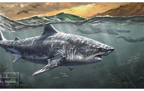 Photo Wallpaper Shark, Whales, Megalodon - Megalodon Art Deviantart ...