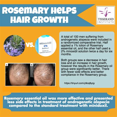 Rosemary essential oil is a promising alternative for hair growth ...