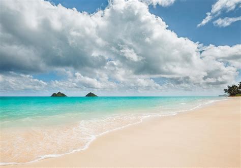 5 Best Beaches In Oahu – Stay Close Travel Far