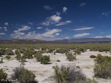 Nevada Desert - Pacific Northwest Photoblog