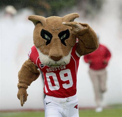 Shasta, University of Houston Cougars. | University Of Houston - Cougar ...