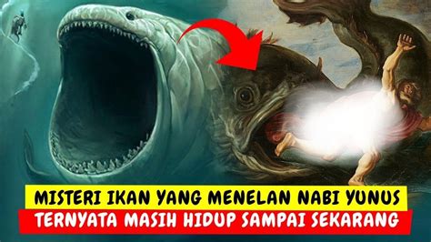 MISTERI IKAN NUN, IKAN YANG MENELAN NABI YUNUS Penampakan Ikan Paus ...