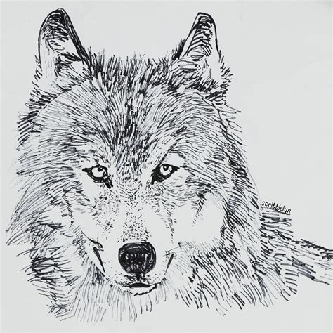 FREE 20+ Wolf Drawings in AI