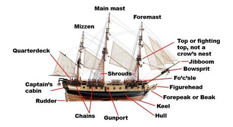 Parts Of A Ship - The Fact Site | Sailing ships, Sailing, Master and ...