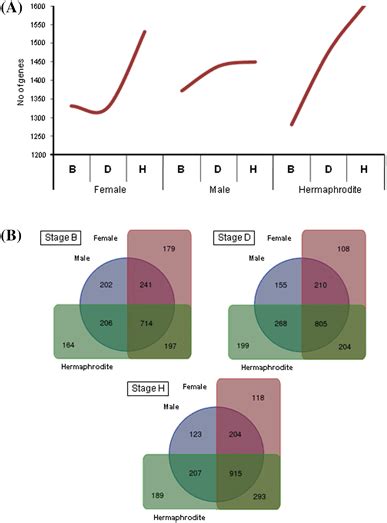 Analysis of intergenic sequences transcribed in the genomes that match ...