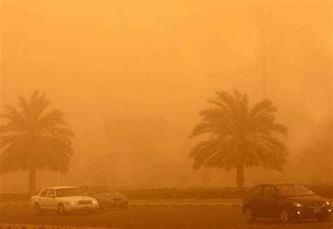 Sand and Dust Storms: Impacts and Mitigation | EcoMENA