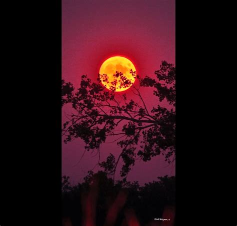 Full Moon Photography Night photo Magenta plum moonlight 15x30 Metal ...