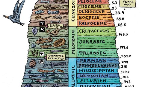 Why are fossils important? + Example