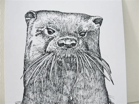 Drawing River Otters | Mary Richmond's Cape Cod Art and Nature