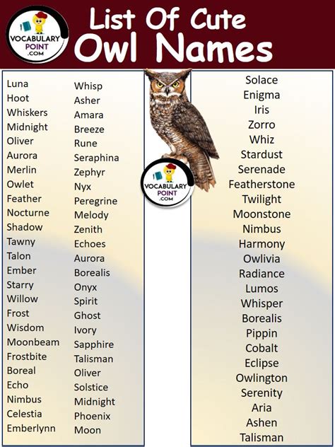 500+ Cute Owl Names In English in 2023 | Owl, Harry potter owl, Harry ...